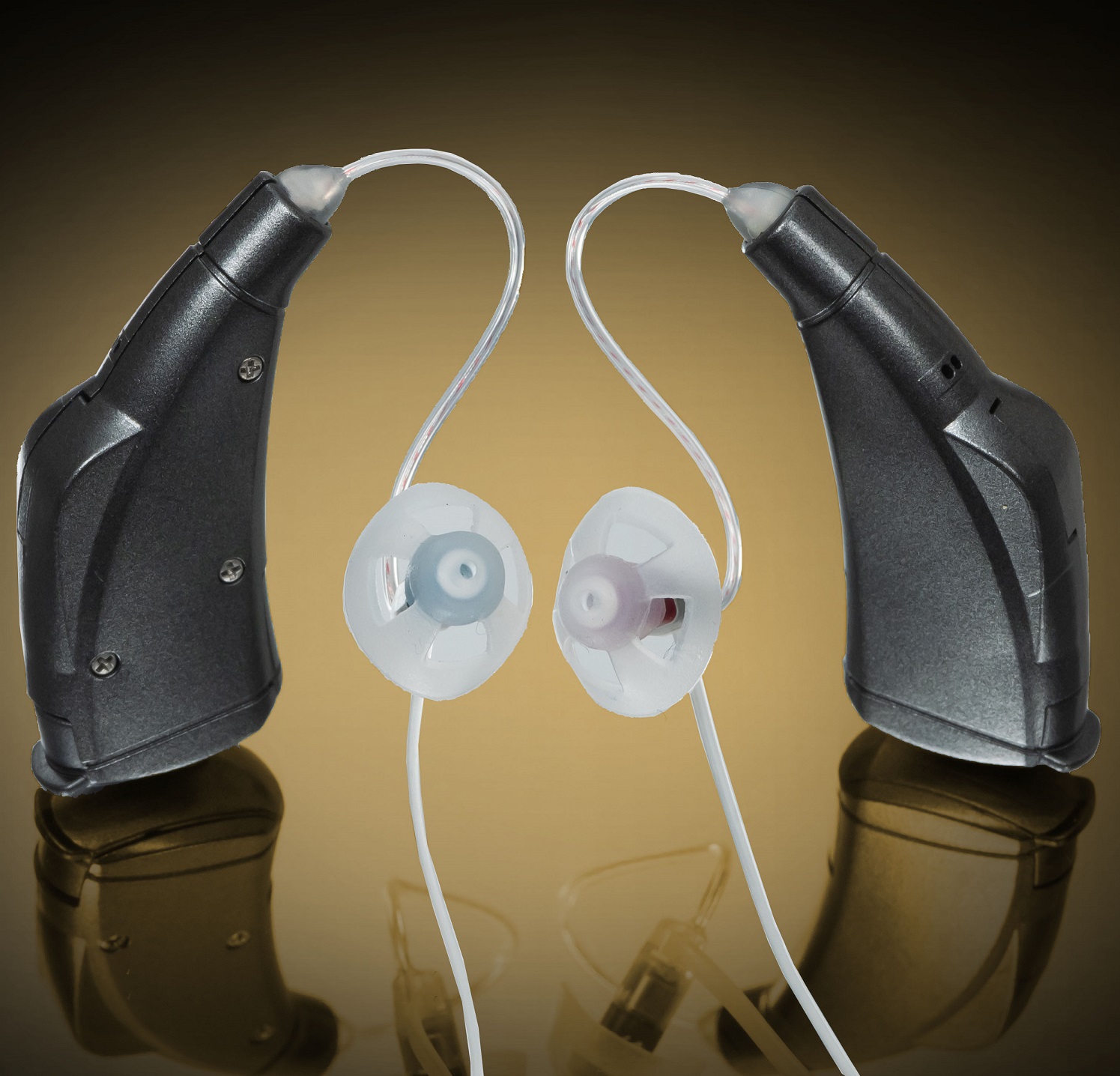 MFi Hearing Aid